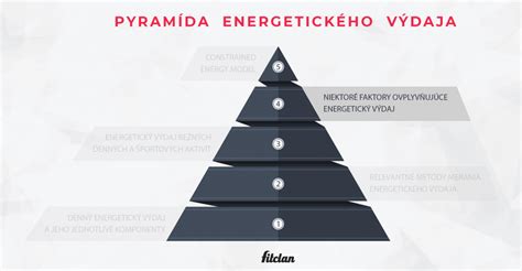 infografika vysvetľujúca zložky denného energetického výdaja