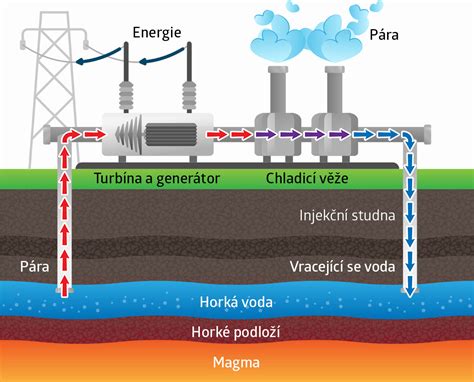 Ilustrácia znázorňujúca tok energie v tele pri metabolizme.