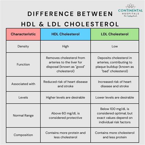 infografika zobrazujúca rozdiely medzi HDL a LDL cholesterolom