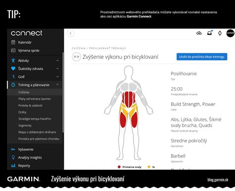 Ilustrácia zobrazujúca rôzne svalové skupiny zapájané pri bicyklovaní a rýchlej chôdzi