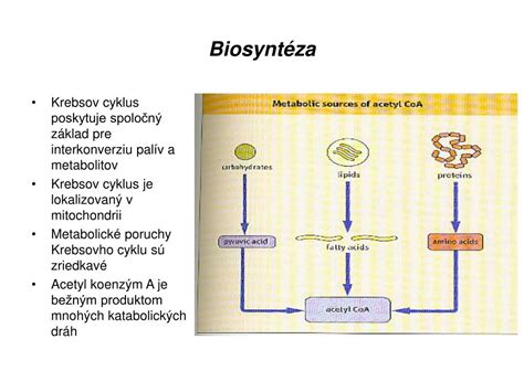Diagram Krebsovho cyklu s vyznačenými vstupmi, výstupmi a medziproduktmi