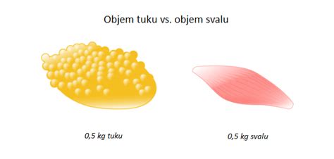 Porovnanie energetického obsahu 1 kg tuku a 1 kg svalovej hmoty