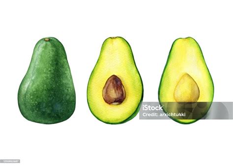 Ilustrácia zrelého avokáda s listami