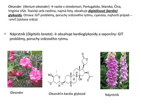Schéma znázorňujúca rôzne funkcie sekundárnych metabolitov v rastlinách (obrana, prilákanie opeľovačov, adaptácia na stres).