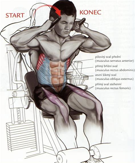 Infografika s ukážkami rôznych cvikov na brušné svaly (plank, skracovačky, zdvíhanie nôh)