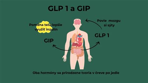 Ilustrácia znázorňujúca mechanizmus účinku agonistov GLP-1 receptorov na reguláciu hladu a sýtosti.
