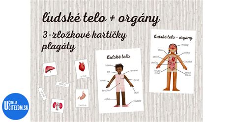 Infografika znázorňujúca prospešné účinky horčíka na ľudské telo