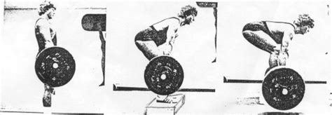 Ilustrácia cvikov na nohy: drep, výpad, rumunský mŕtvy ťah