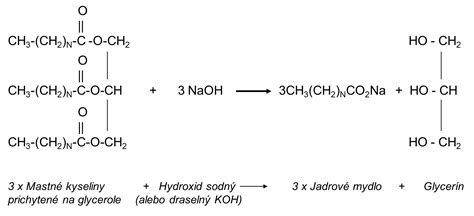 Schéma znázorňujúca prenos mastných kyselín do mitochondrií pomocou L-karnitínu