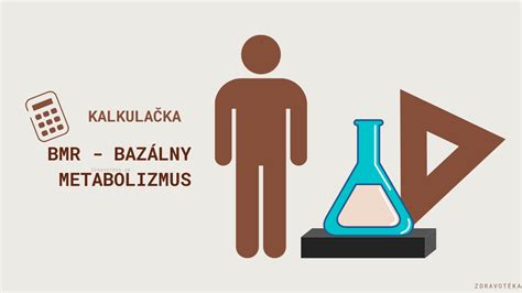 infografika zobrazujúca rozdelenie energetického výdaja tela (bazálny metabolizmus, termoregulácia, fyzická aktivita)