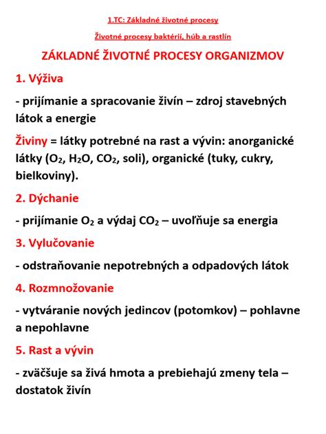 Ilustračná schéma zobrazujúca základné životné funkcie tela, ktoré spotrebúvajú energiu v pokoji.