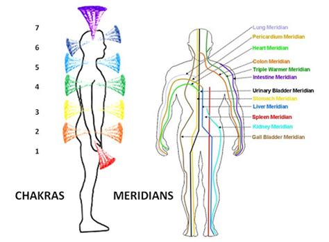 Ilustrácia znázorňujúca energetické dráhy na ľudskom tele