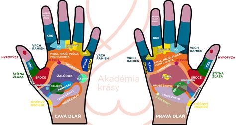 Schéma znázorňujúca akupresúrne body na ruke a nohe