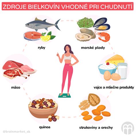 Infografika zobrazujúca zdroje bielkovín a ich vplyv na metabolizmus