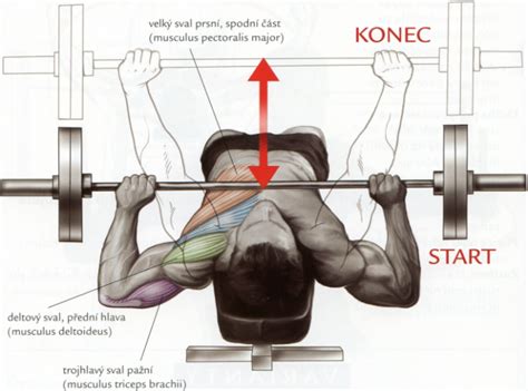 Bench press s veľkou činkou