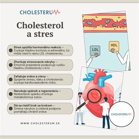 Infografika zobrazujúca vplyv rôznych životných štýlových faktorov na metabolizmus