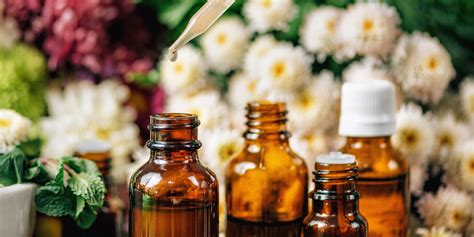 Ilustračná fotografia rôznych druhov kvetov, z ktorých sa vyrábajú Bachove esencie