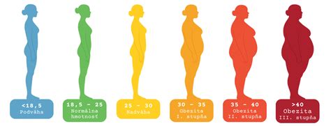 infografika znázorňujúca rozdiely medzi sacharidovým a tukovým metabolizmom