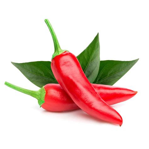 Ilustrácia rôznych druhov chilli papričiek a kajenského korenia.