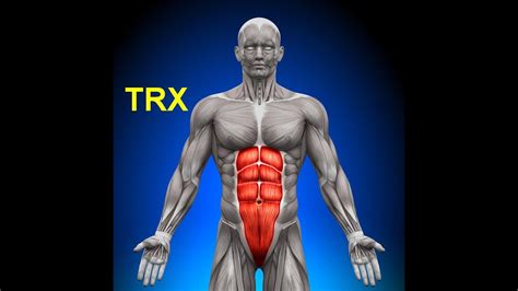 Ilustračná fotografia ženy cvičiacej brušné svaly