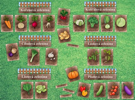 Ilustrácia znázorňujúca rôzne druhy zeleniny a byliniek vhodných pri HIT.