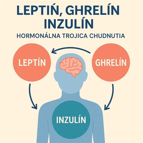 Infografika znázorňujúca hormóny hladu a sýtosti (grelín a leptín) a ich vplyv