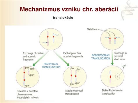 Ilustrácia znázorňujúca mechanizmus vzniku tenzného pneumotoraxu