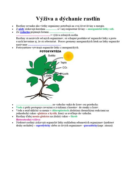 Schematické znázornenie rôznych typov výživy rastlín