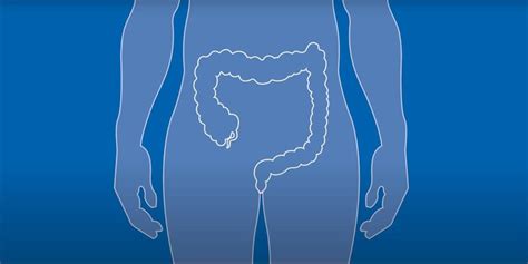 Ilustrácia procesu nočnej lipolýzy.