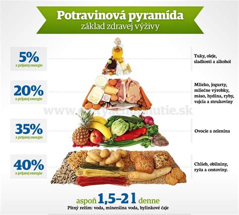 Ilustrácia znázorňujúca rôzne aktivity pre zdravý životný štýl: varenie doma, cvičenie, prechádzka v prírode.