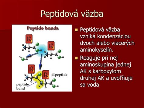 Štruktúra aminokyseliny a peptidovej väzby