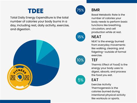 Infografika zobrazujúca rozdelenie celkového denného energetického výdaja (TDEE) na BMR, TEF, NEAT a EAT.