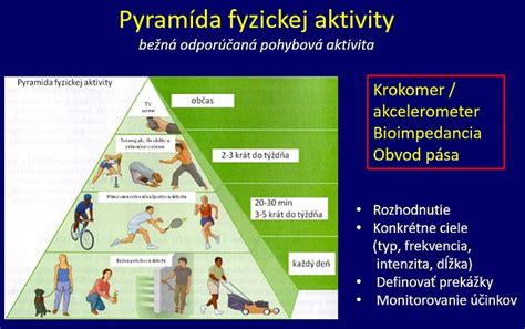 Infografika znázorňujúca rôzne úrovne fyzickej aktivity a ich vplyv na denný kalorický výdaj