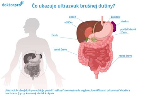 Ilustrácia brušnej dutiny s vyznačením viscerálneho tuku obklopujúceho orgány.